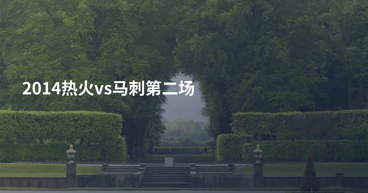 2014热火vs马刺第二场