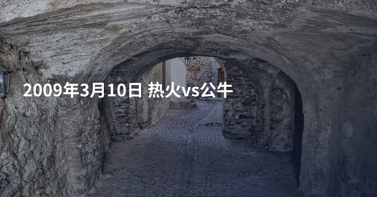 2009年3月10日 热火vs公牛