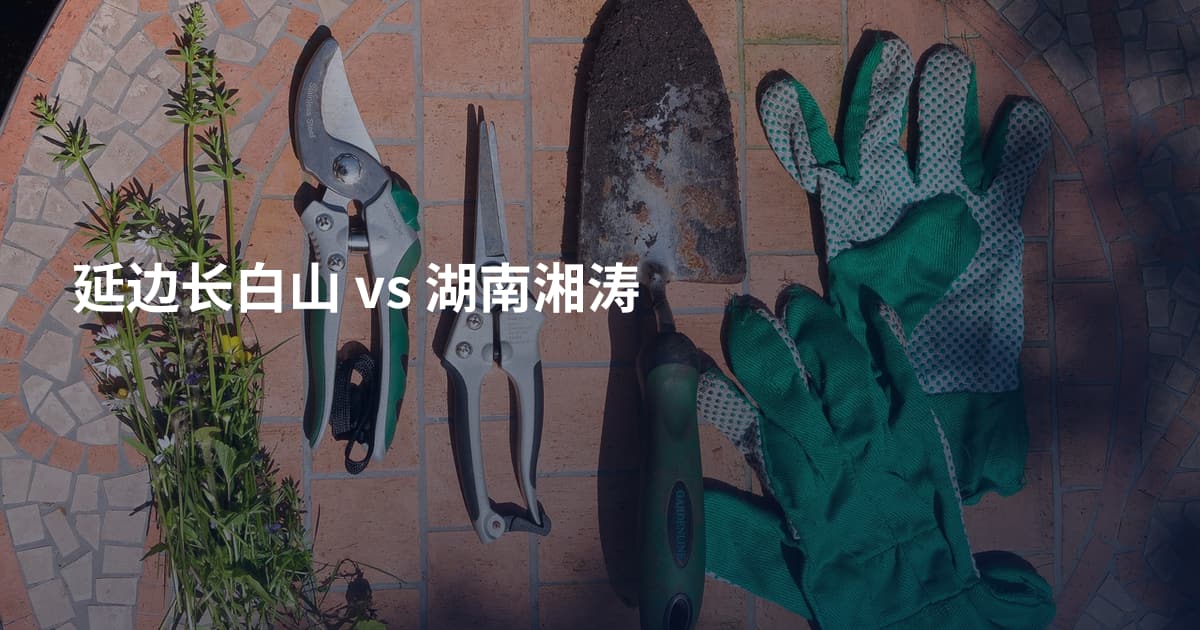 延边长白山 vs 湖南湘涛