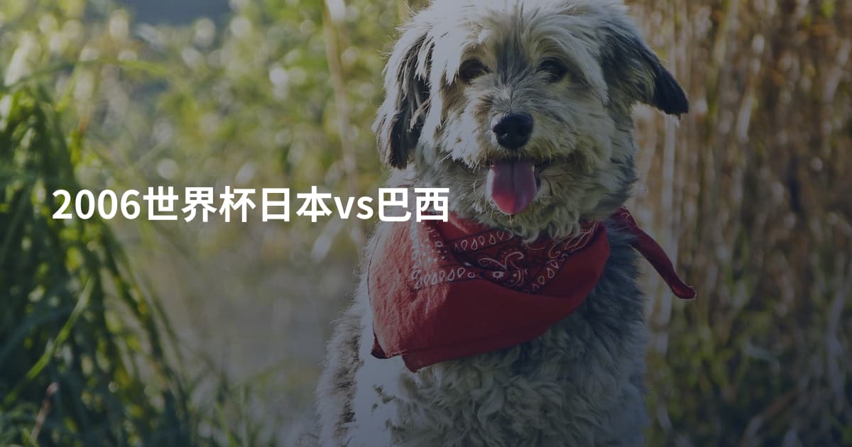 2006世界杯日本vs巴西