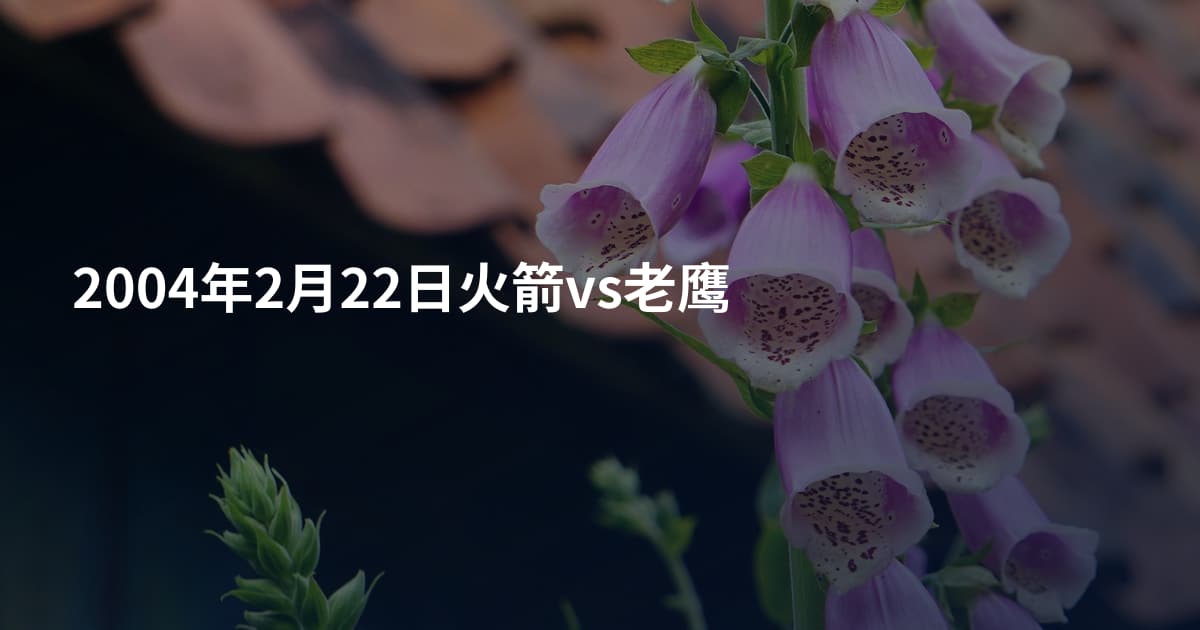 2004年2月22日火箭vs老鹰