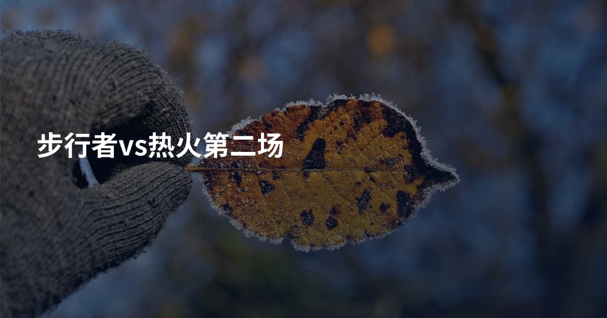 步行者vs热火第二场