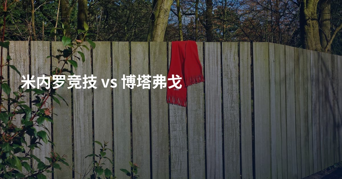 米内罗竞技 vs 博塔弗戈