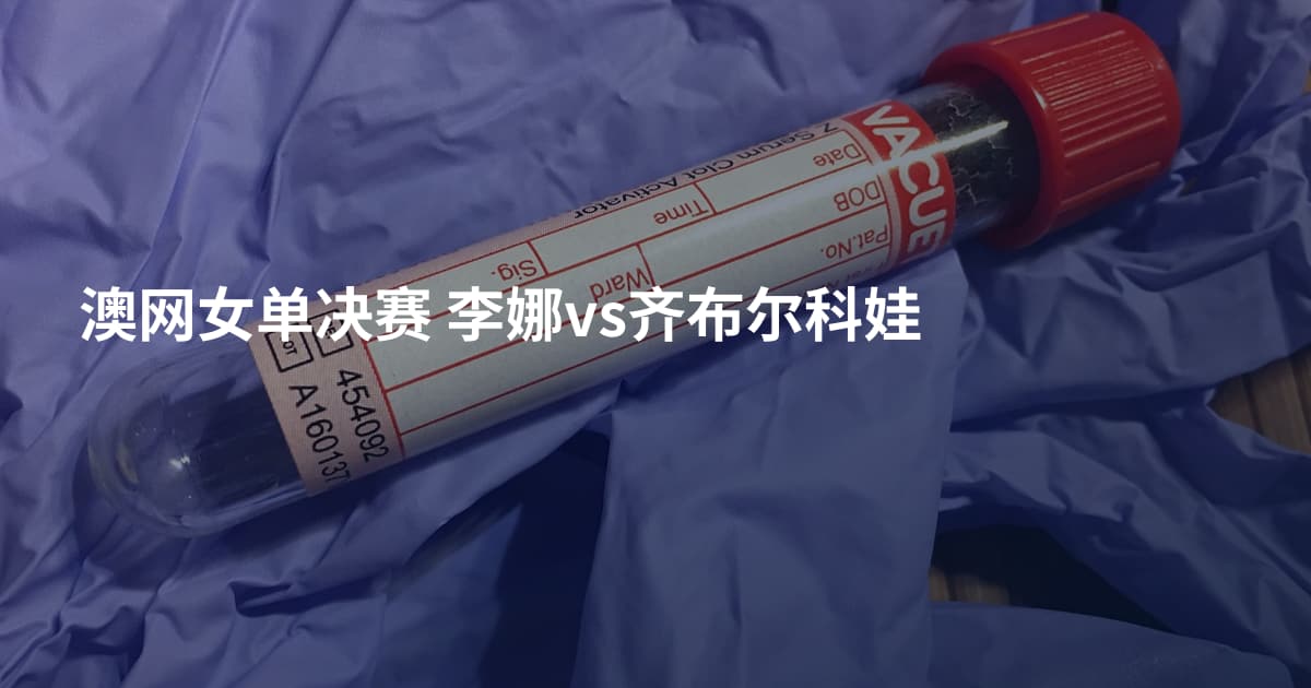 澳网女单决赛 李娜vs齐布尔科娃