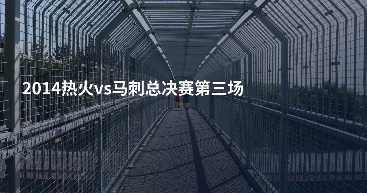 2014热火vs马刺总决赛第三场
