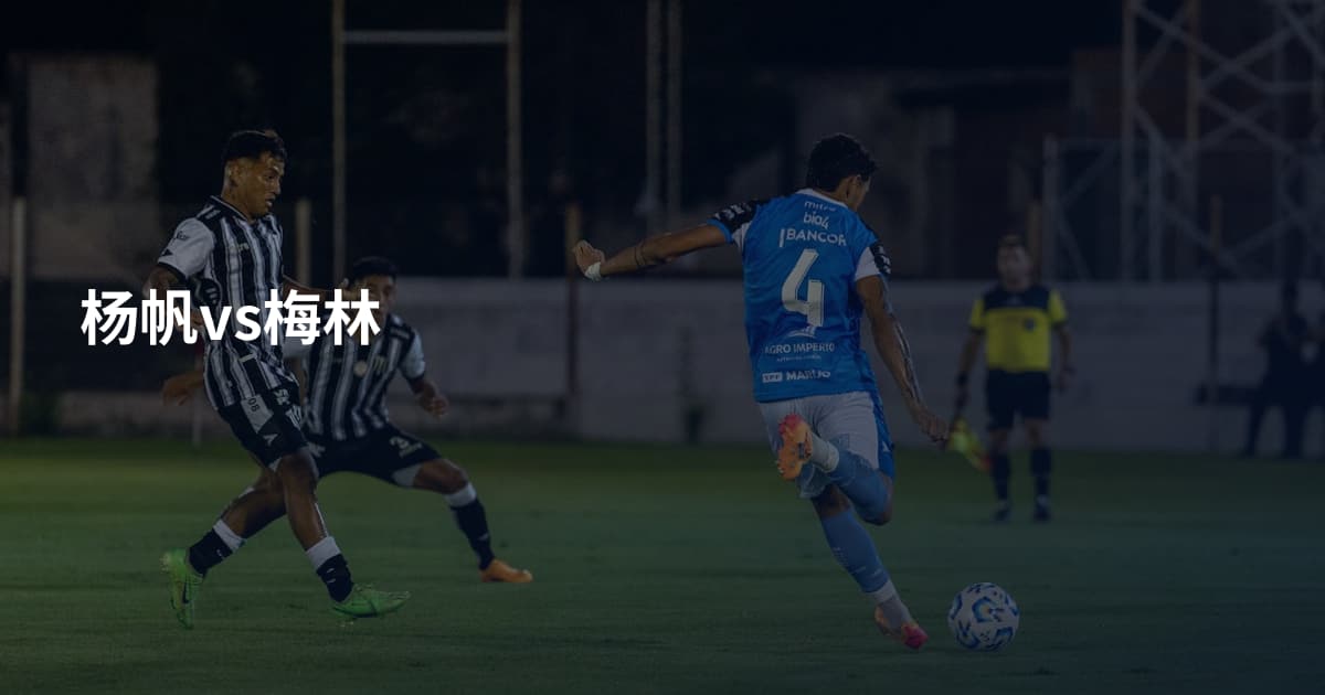 杨帆vs梅林