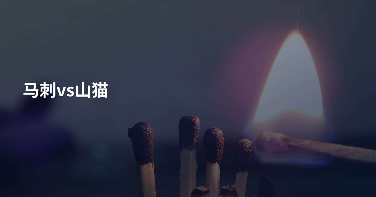 马刺vs山猫