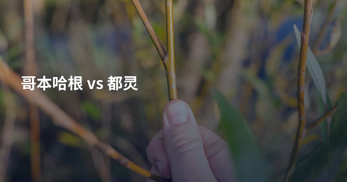 哥本哈根 vs 都灵