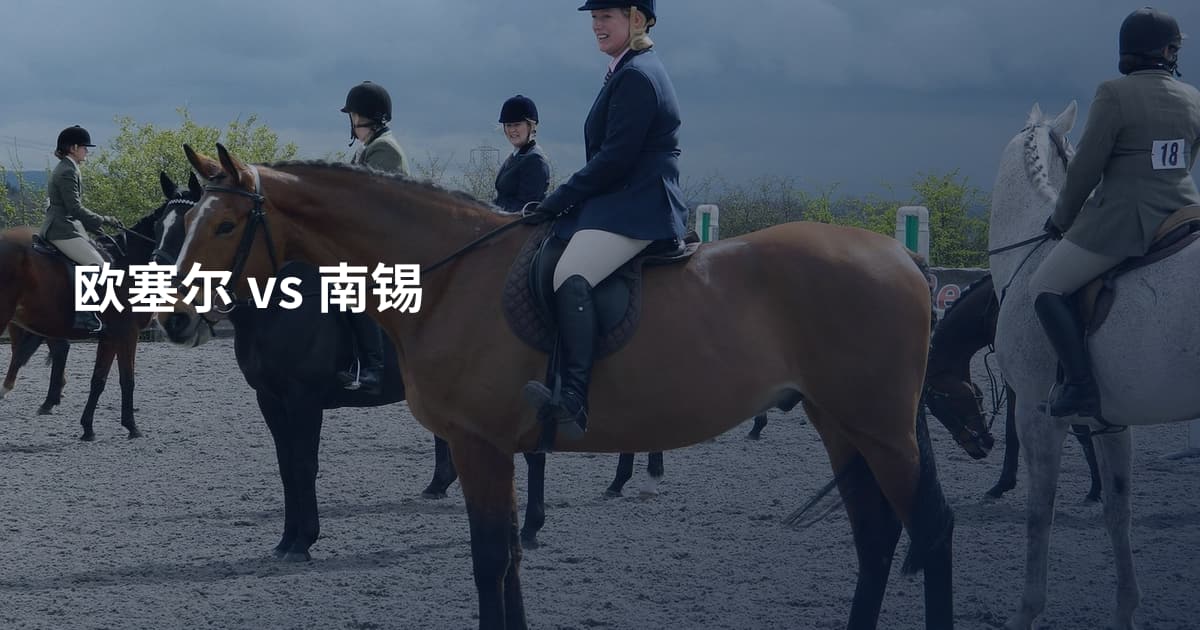 欧塞尔 vs 南锡