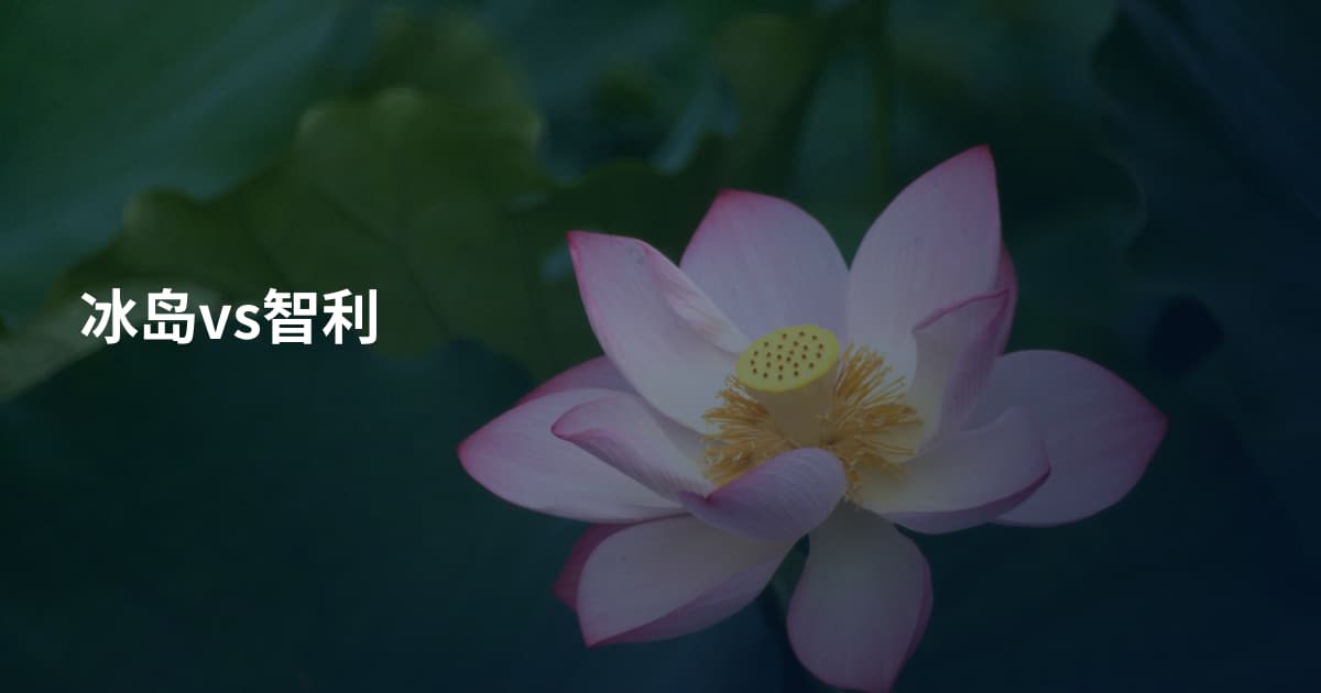 冰岛vs智利