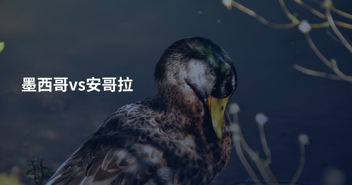 墨西哥vs安哥拉