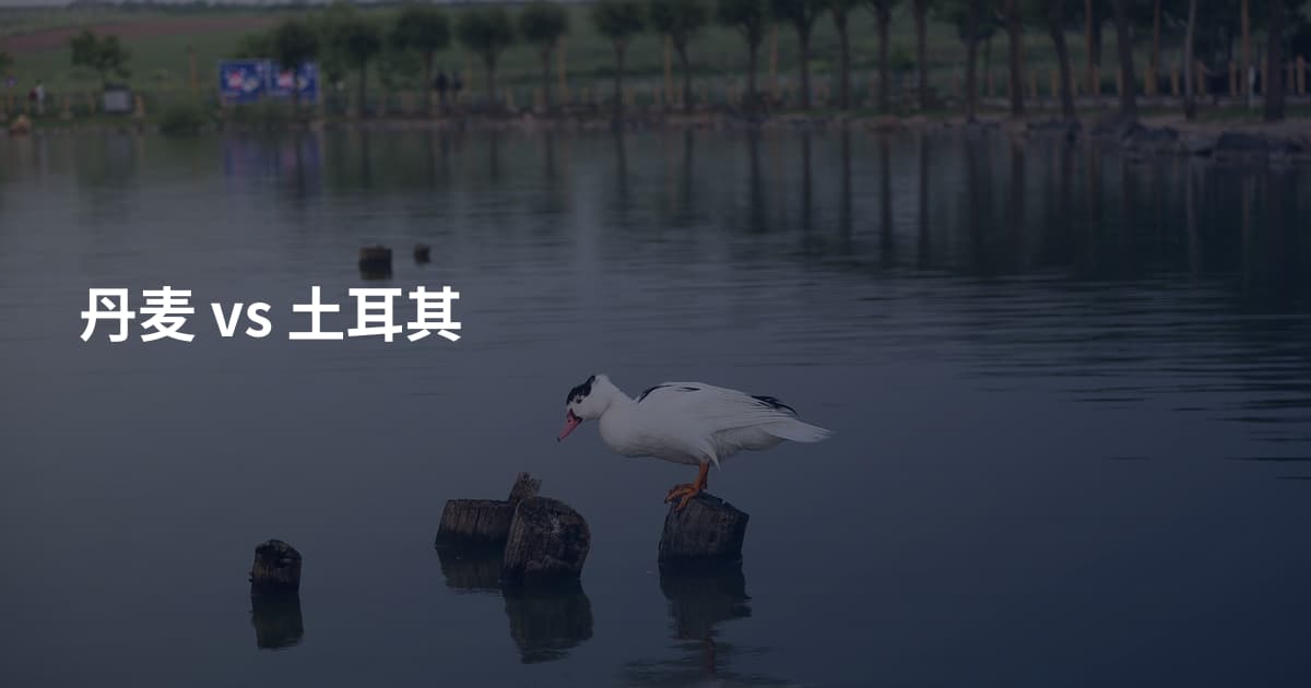 丹麦 vs 土耳其