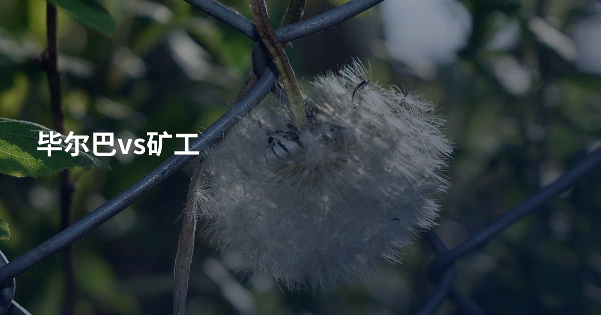 毕尔巴vs矿工