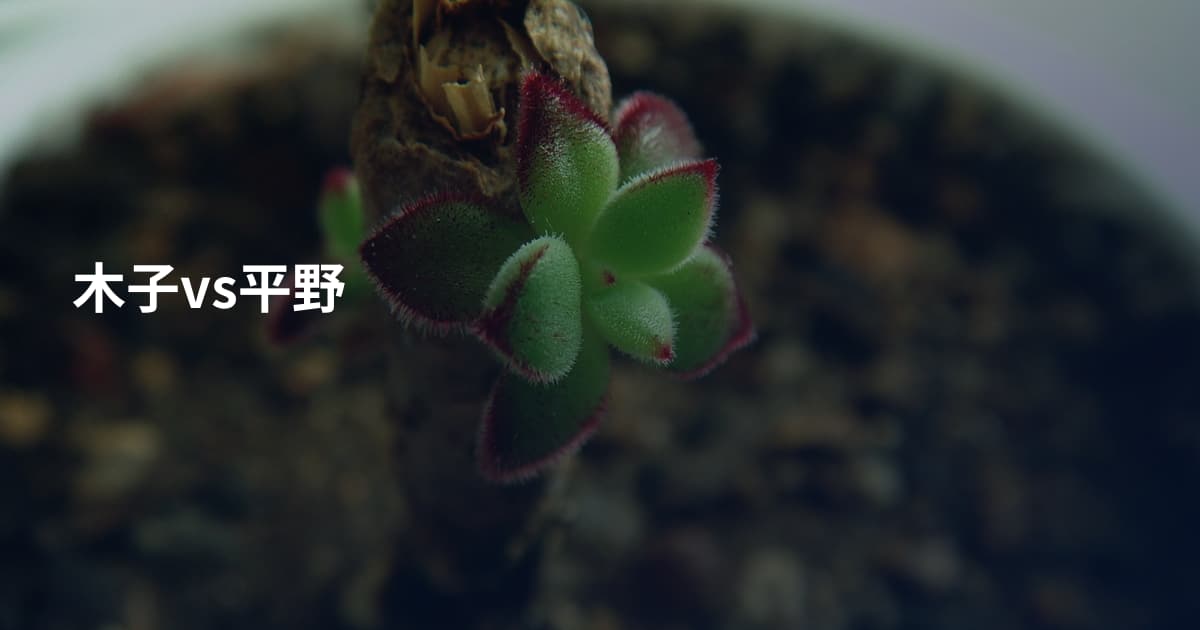 木子vs平野
