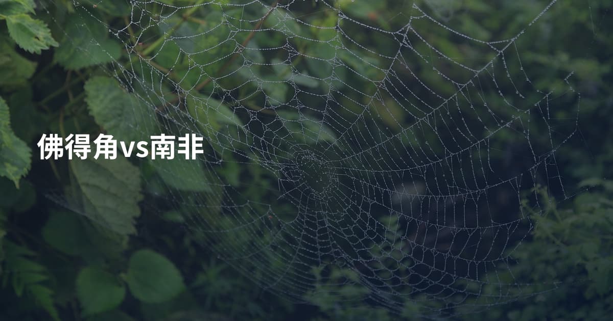 佛得角vs南非