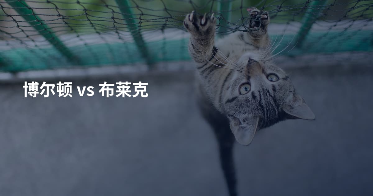 博尔顿 vs 布莱克