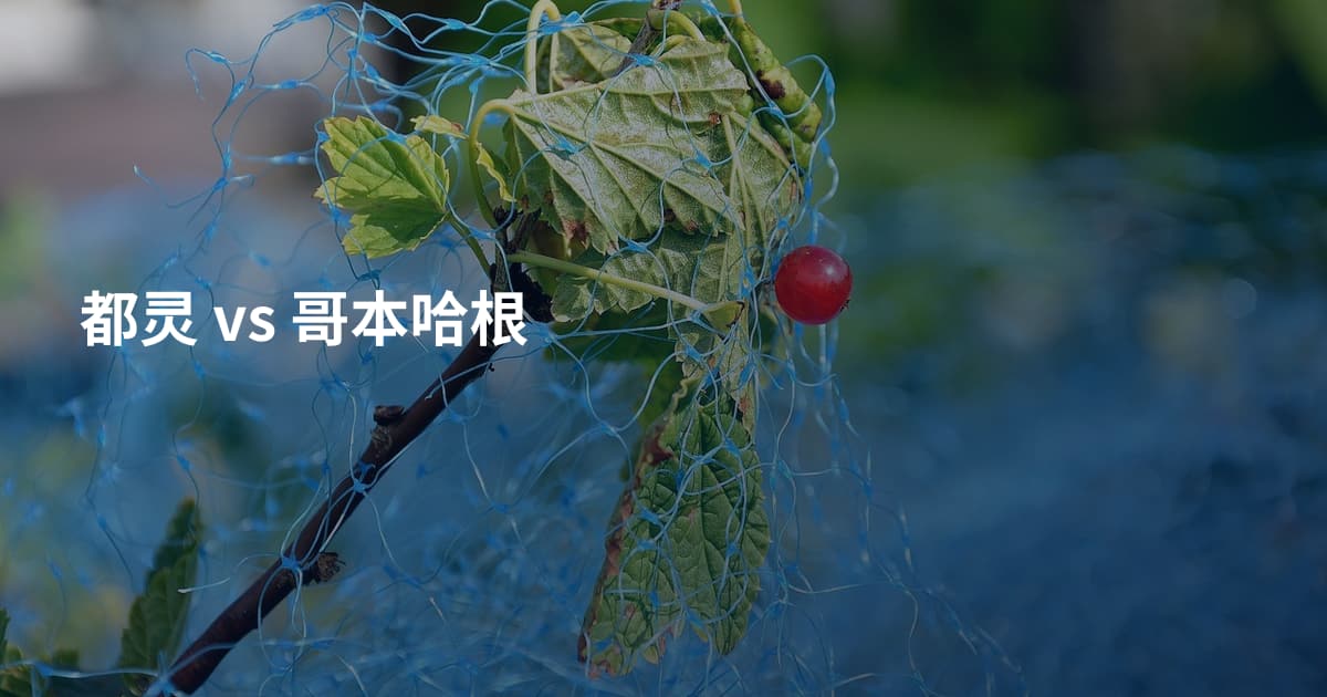 都灵 vs 哥本哈根
