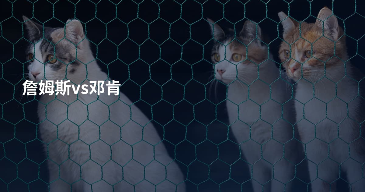 詹姆斯vs邓肯