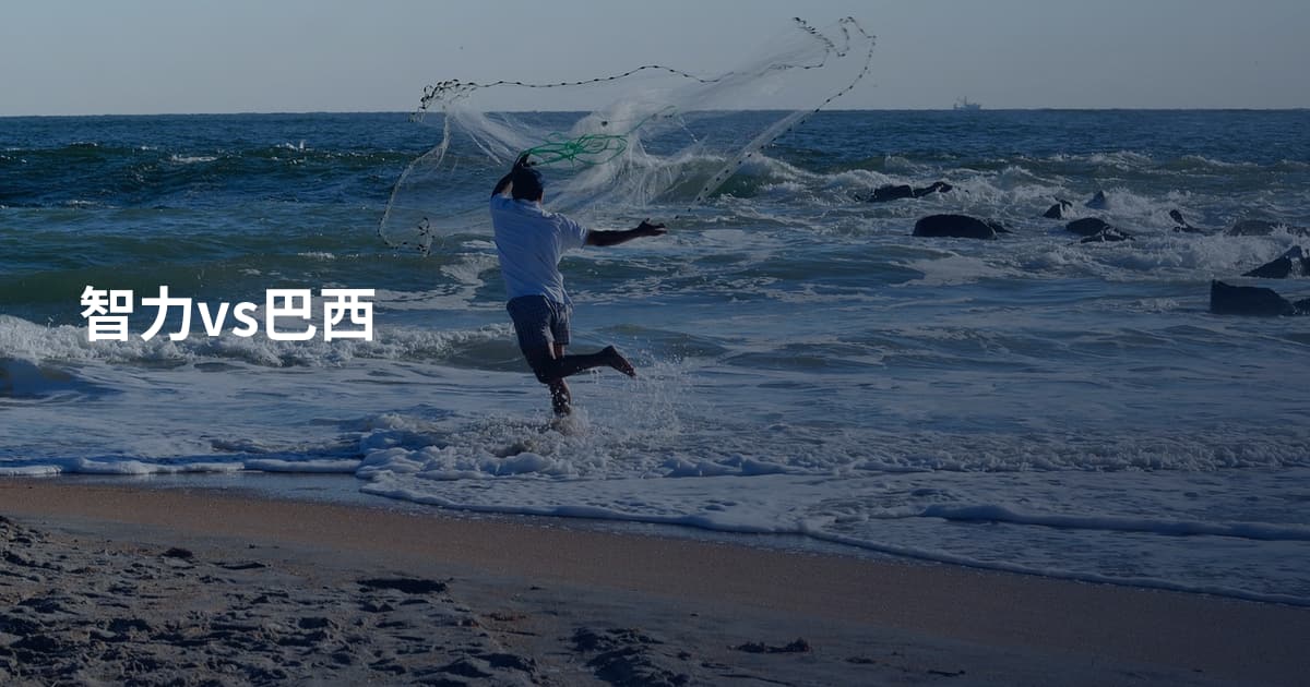 智力vs巴西