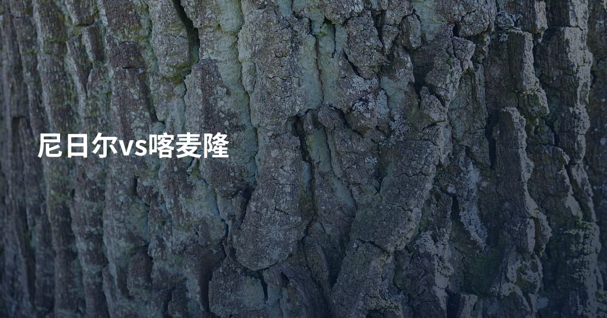 尼日尔vs喀麦隆