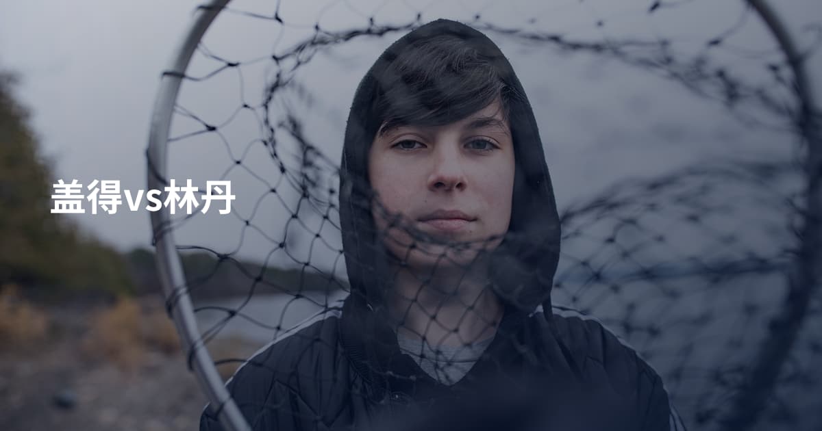 盖得vs林丹
