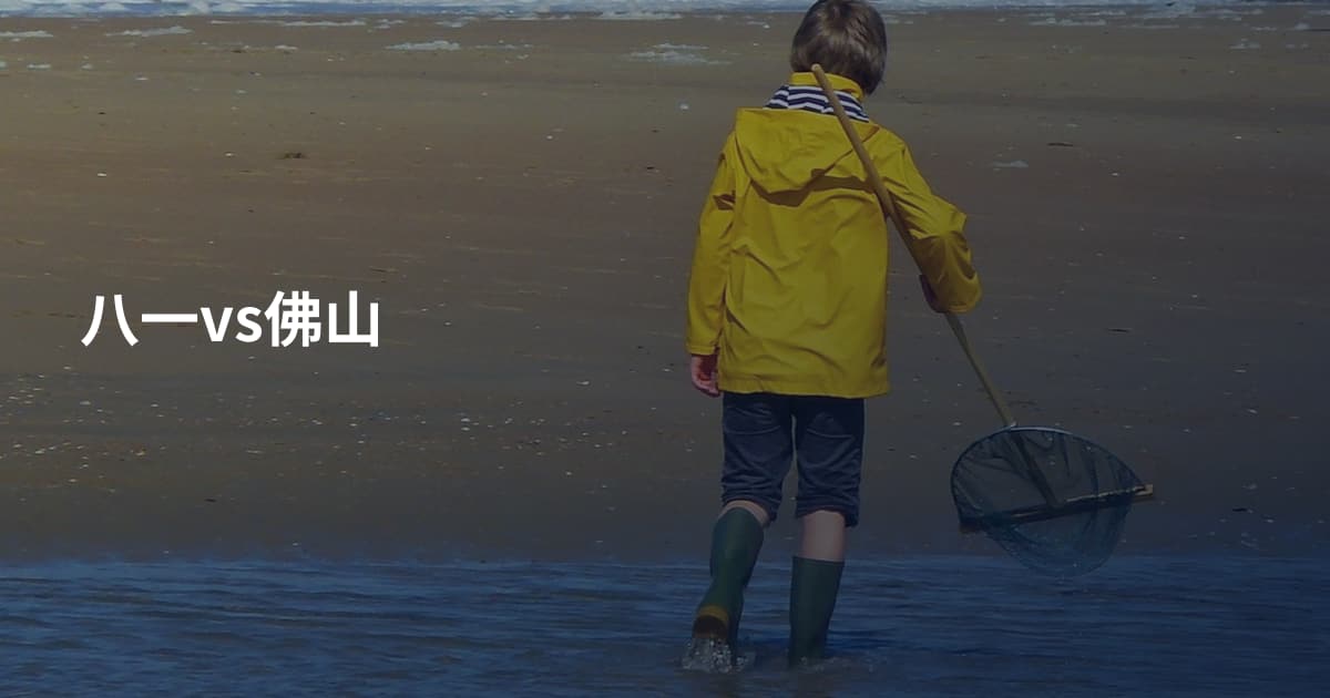 八一vs佛山
