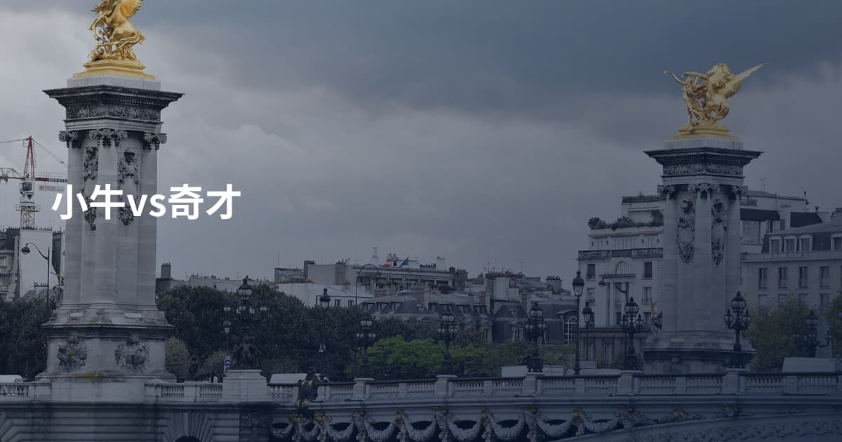 小牛vs奇才