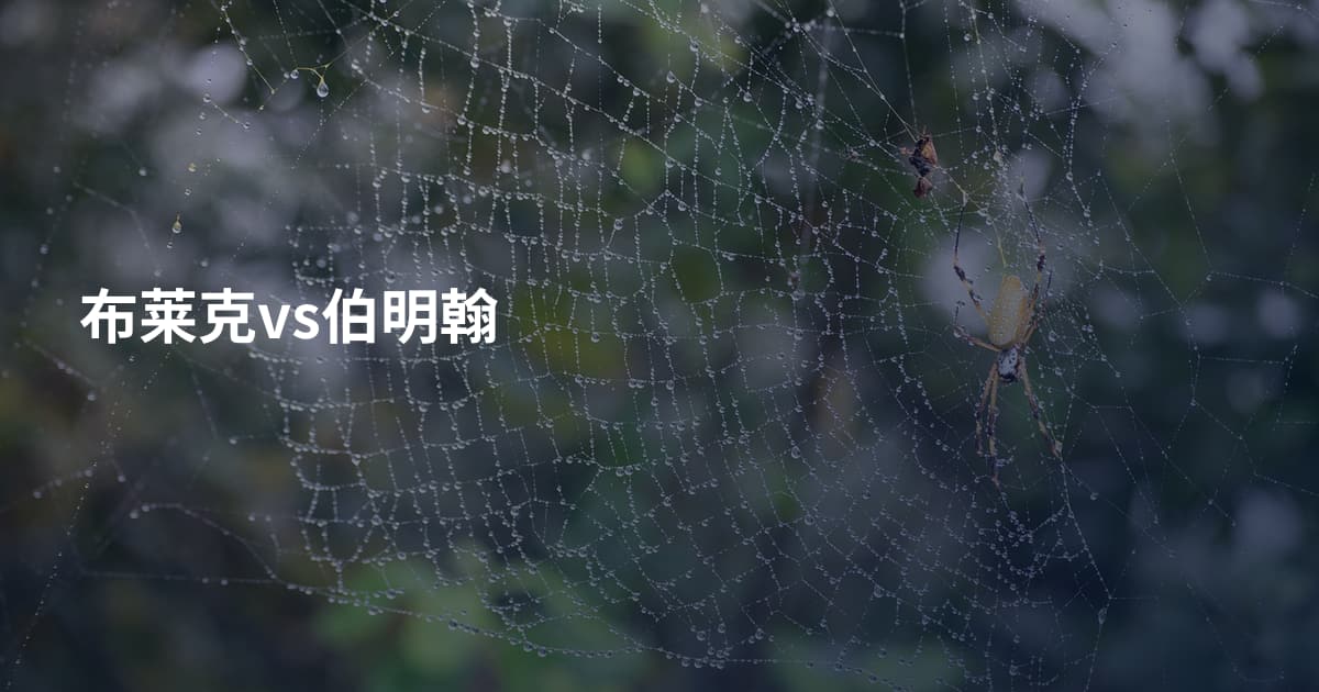 布莱克vs伯明翰