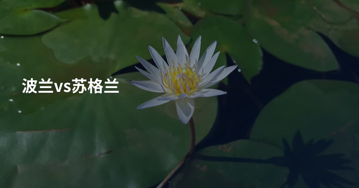 波兰vs苏格兰