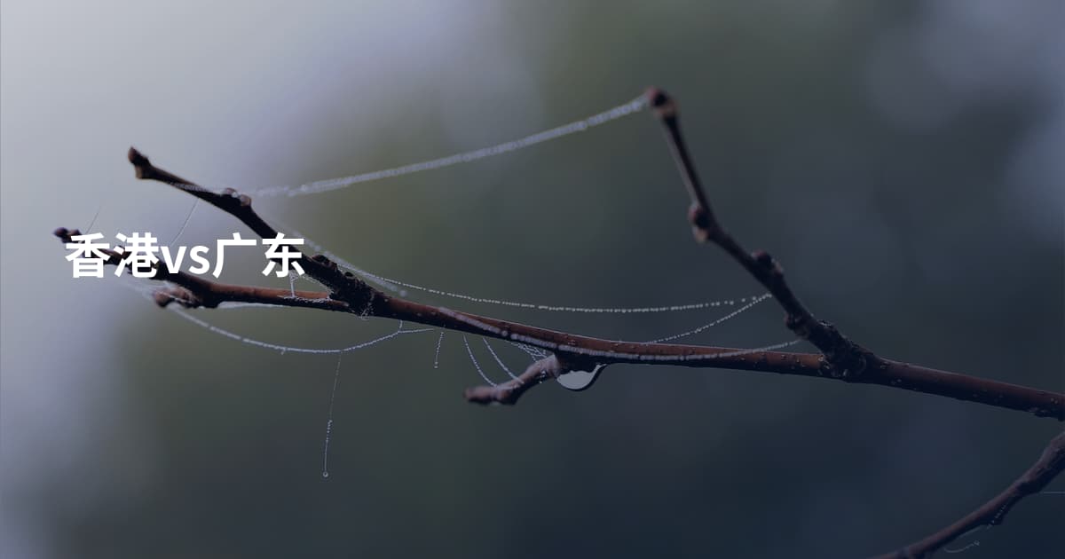香港vs广东