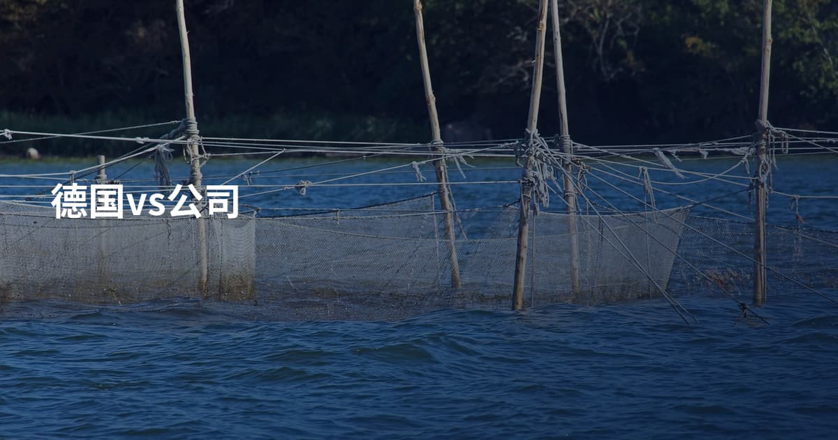 德国vs公司