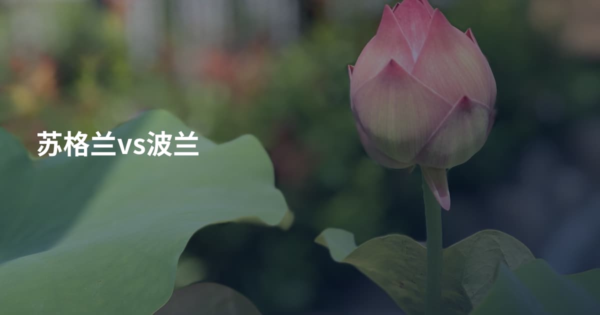 苏格兰vs波兰