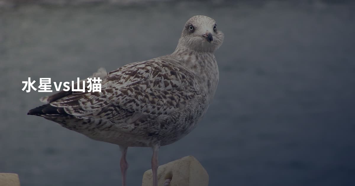 水星vs山猫