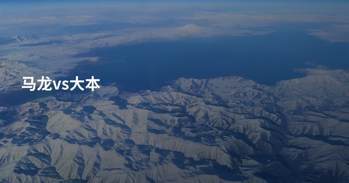 马龙vs大本