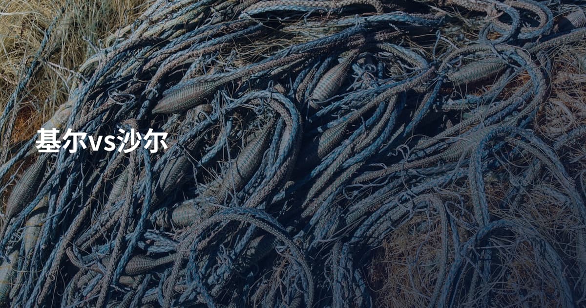 基尔vs沙尔