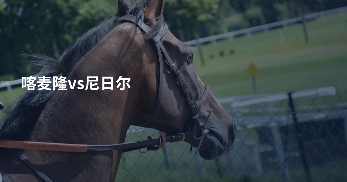 喀麦隆vs尼日尔