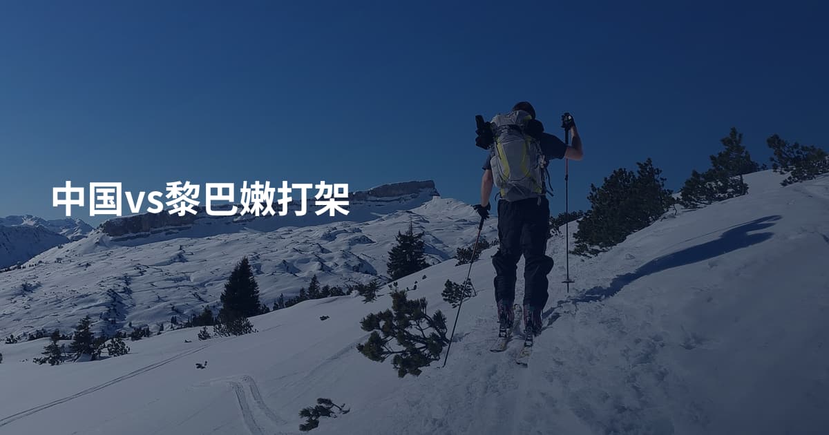 中国vs黎巴嫩打架