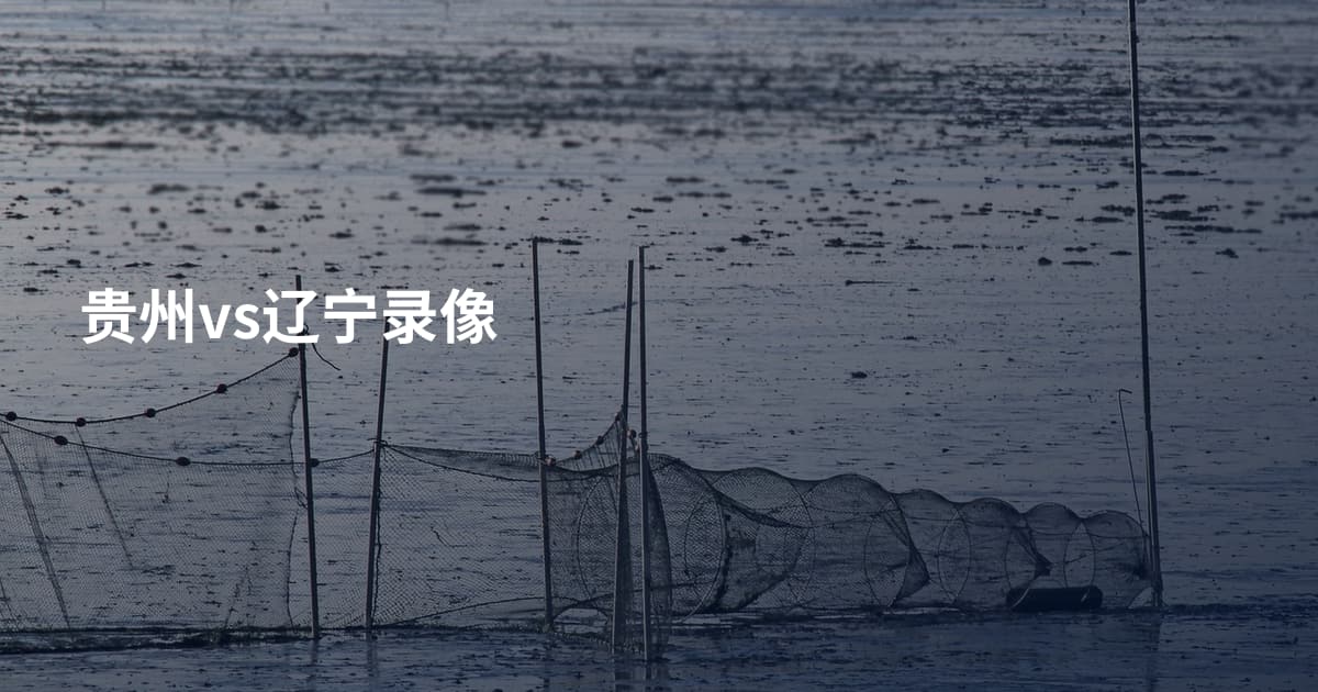 贵州vs辽宁录像