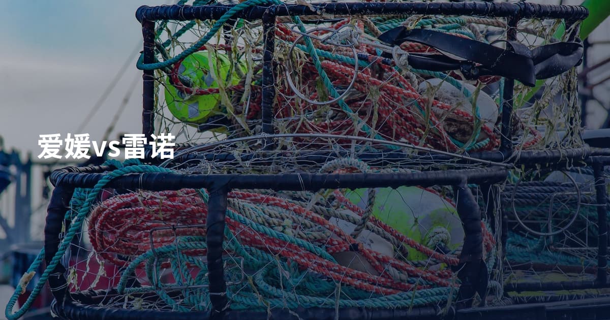 爱媛vs雷诺