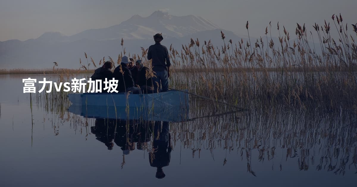 富力vs新加坡