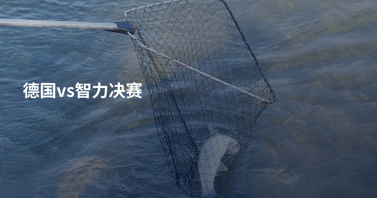 德国vs智力决赛