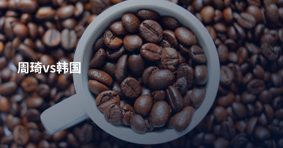 周琦vs韩国