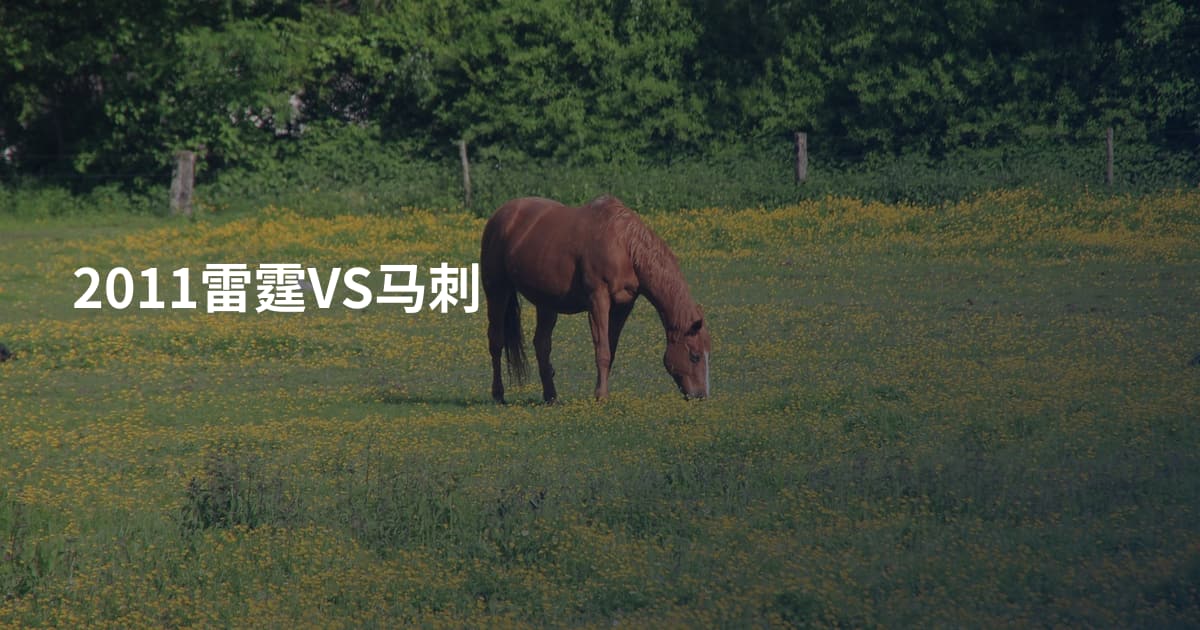 2011雷霆VS马刺