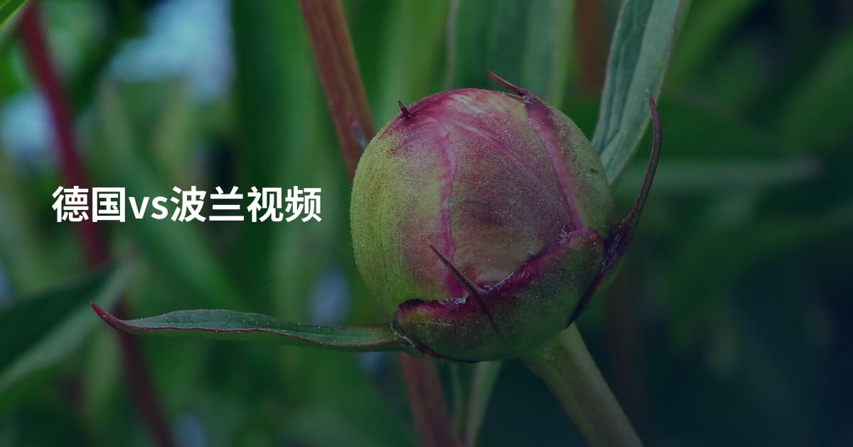 德国vs波兰视频