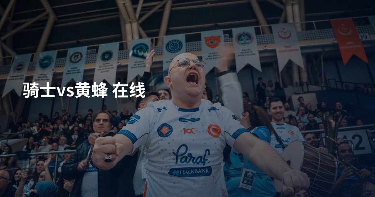 骑士vs黄蜂 在线