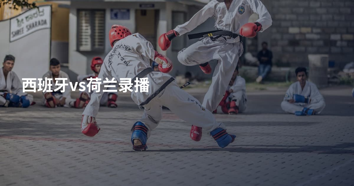 西班牙vs荷兰录播