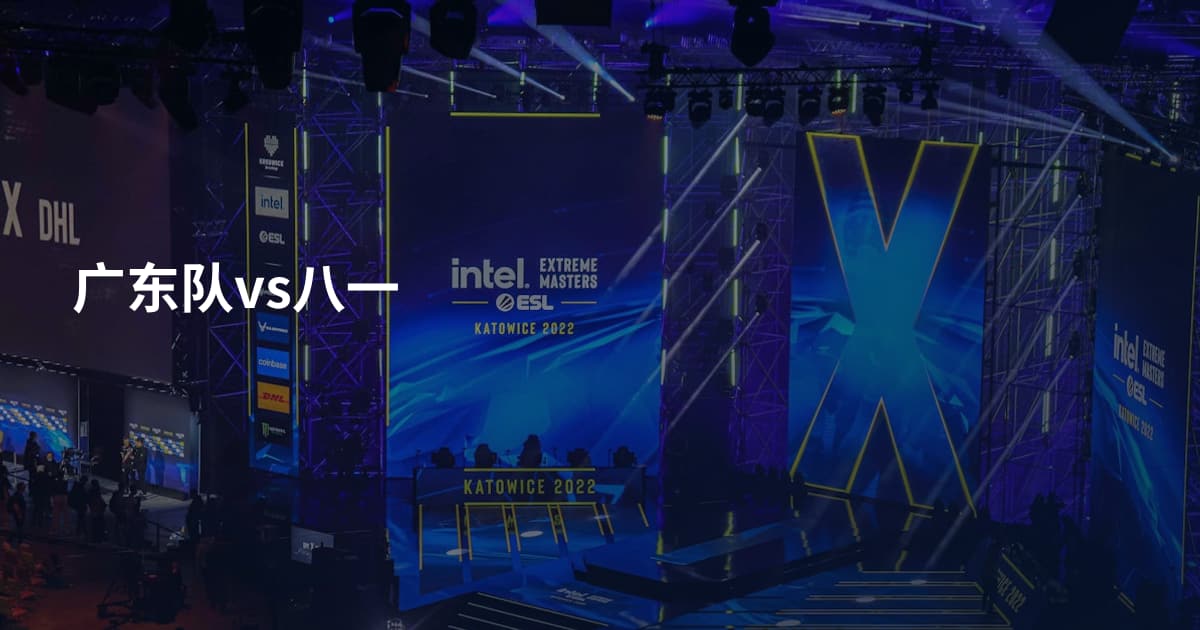 广东队vs八一