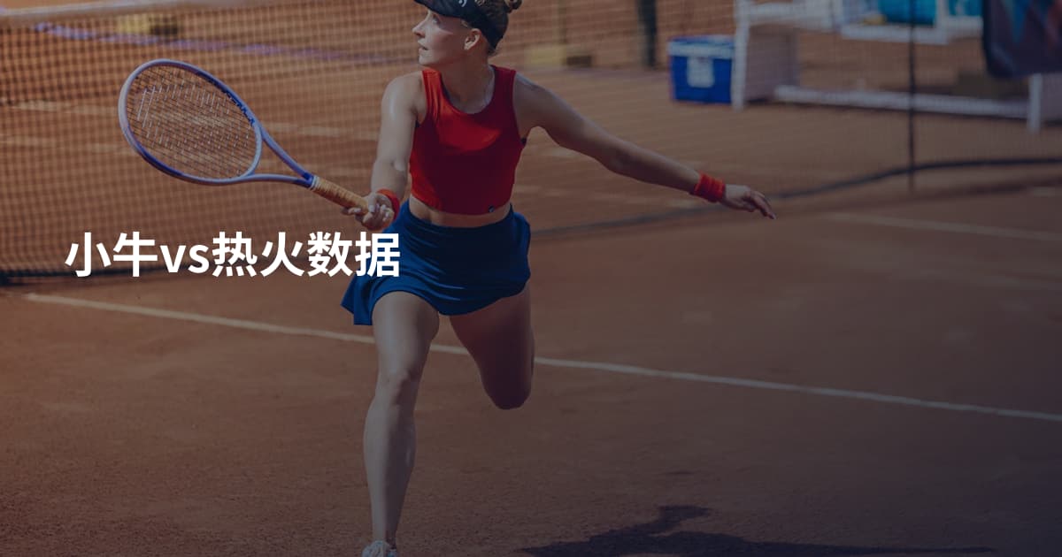 小牛vs热火数据