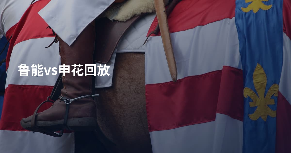 鲁能vs申花回放