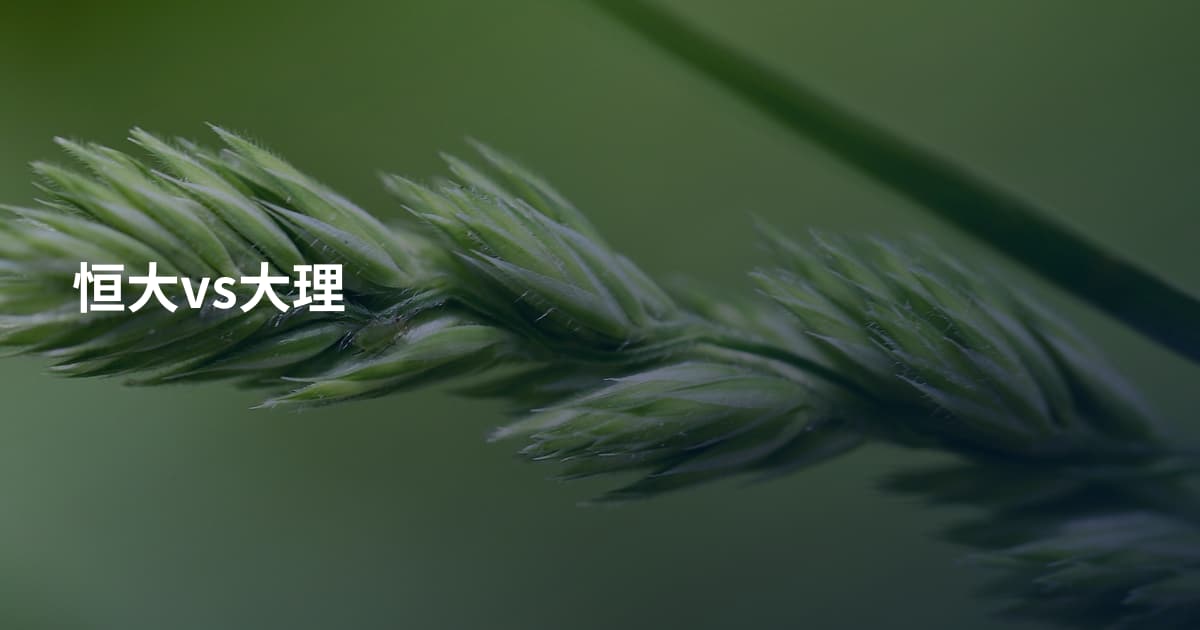 恒大vs大理
